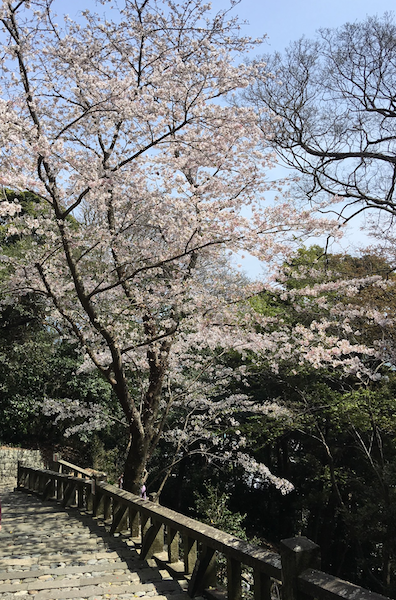 久能山東照宮へ続く石段