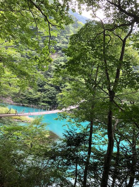 エメラルドグリーンの湖の画像